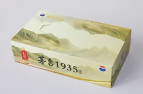 180*105*40mm (250g white cardboard matte film) rectangular box of tissues