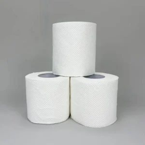 2-Ply Embossed Toilet Paper 500 Sheets