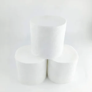 2-Ply Virgin Toilet Paper
