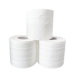 2-Ply Virgin Toilet Paper