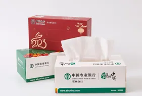 210*105*50mm (300g white cardboard matte film) rectangular box of tissues