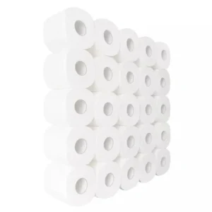 3-Ply Printed Toilet Paper