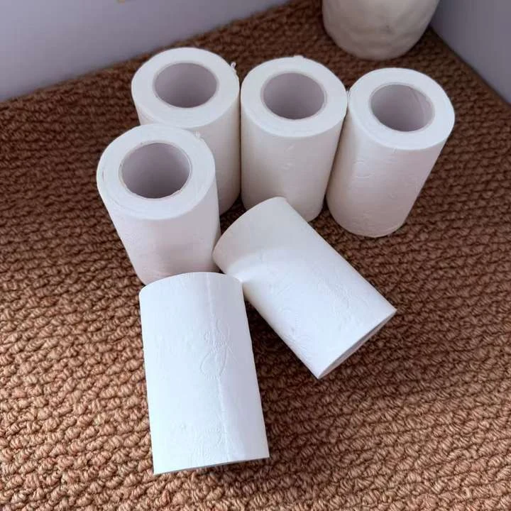 Hotel Toilet Paper Roll